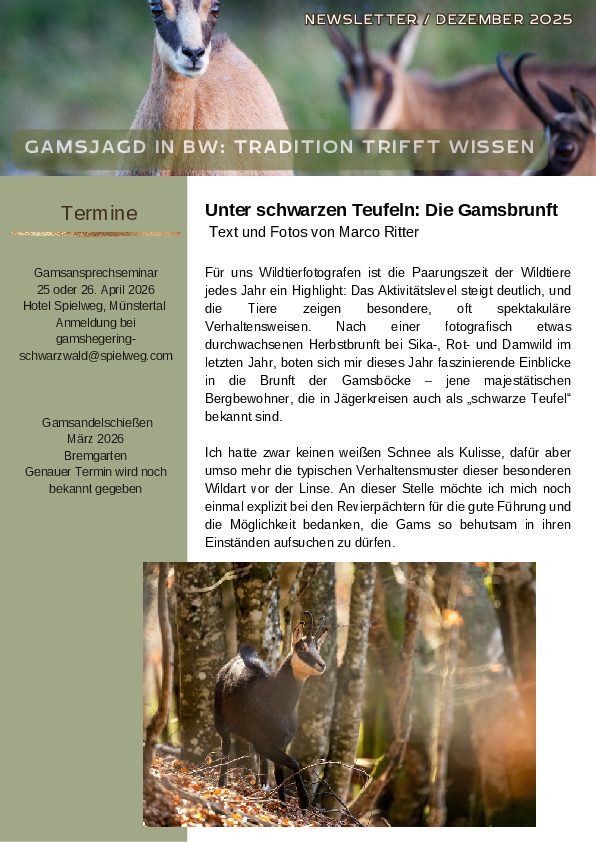 pdf-preview
