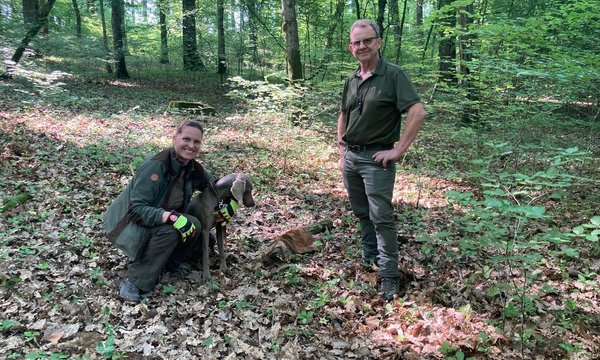 Nach erfolgreicher Nachsuche, erleichtert und glücklich am Stück